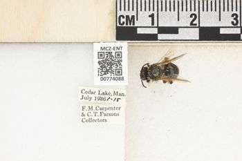 Media type: image;   Entomology 774088 Aspect: Labels